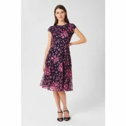 Hobbs Blue Tia Embroidered Dress
