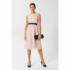 Hobbs Iris Pink Embroidered Dress