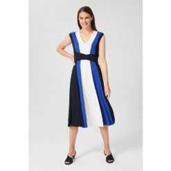 Hobbs Blue Bailly Dress